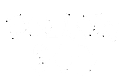 FOLLOW GOD