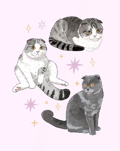 🐱✨ These three adorable Scottish Fold cats are so cute with their big round eyes and tiny folded ears! 😻💕 Which one is your f...