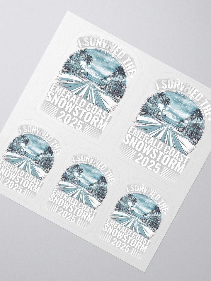 I Survived the Emerald Coast Snowstorm 2025 Sticker Set product image (2)