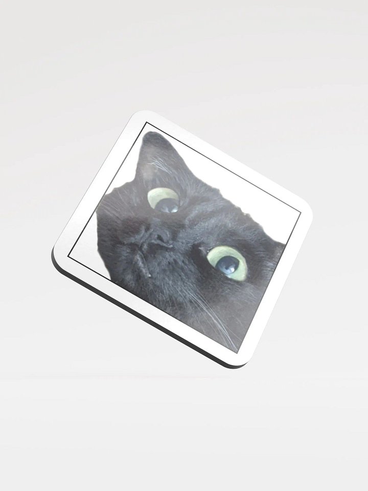 Memori Coaster product image (1)