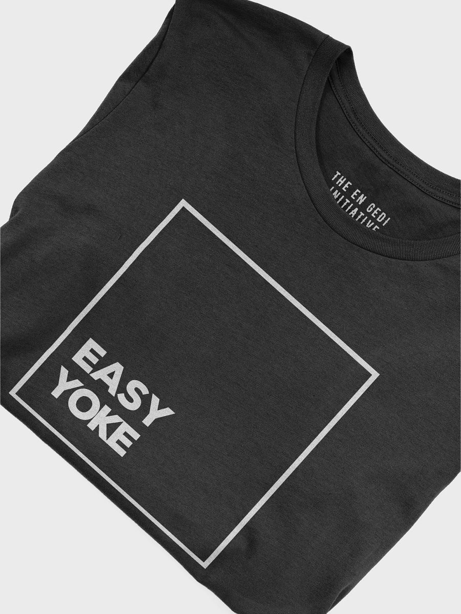 Matthew 11:28-30 T-Shirt product image (5)