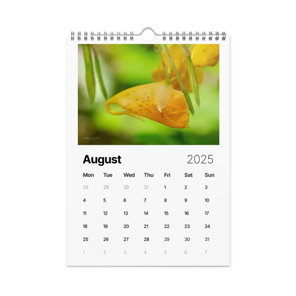 Pure Colors 2025 Wall Calendar product image (9)