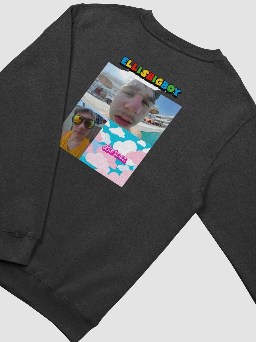 SWEATSHIRT product image (4)
