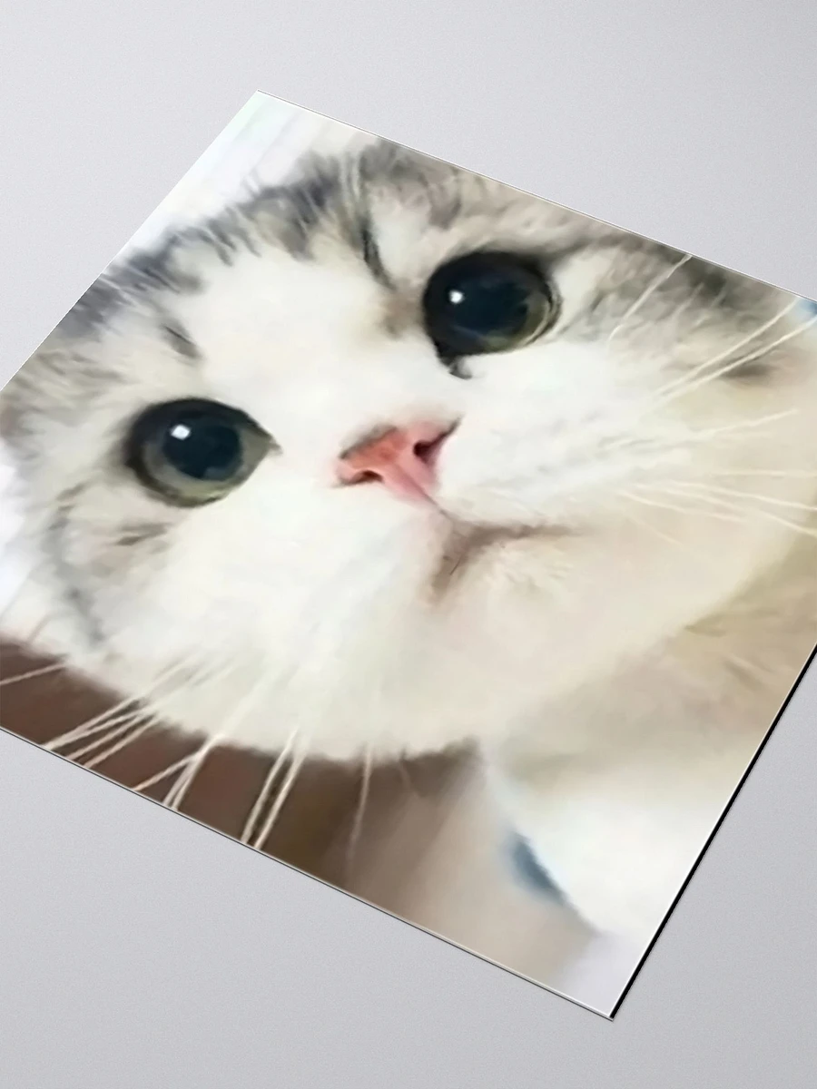 Kiss Cut Stickers: Meme Cats product image (3)