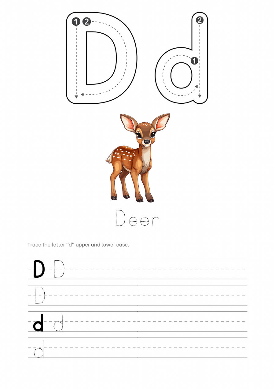 Animal letter tracing workbook product image (2)