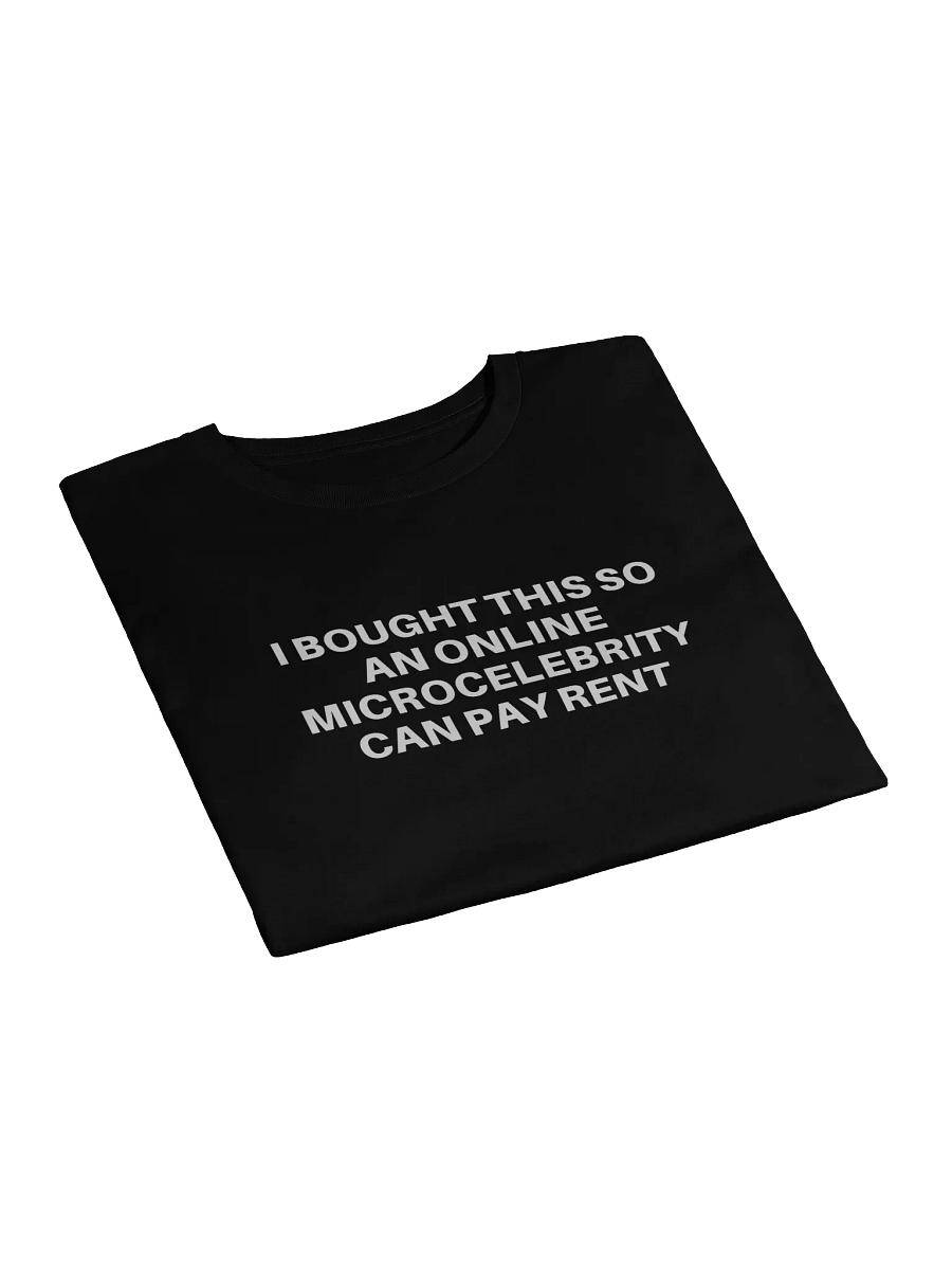 I BOUGHT THIS SO AN ONLINE MICROCELEBRITY CAN PAY RENT - BABY TEE product image (3)