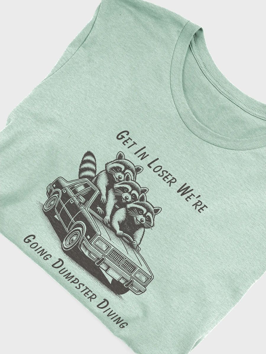 Raccoon Road Trip product image (24)