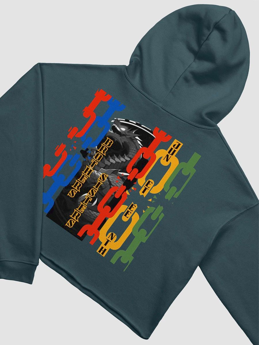 marked Juneteenth crop top hoodie product image (21)