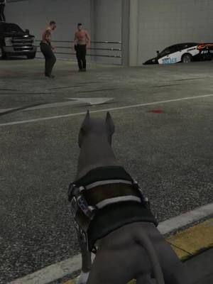 Like owner like K9 | #twistedherbals on #Twitch