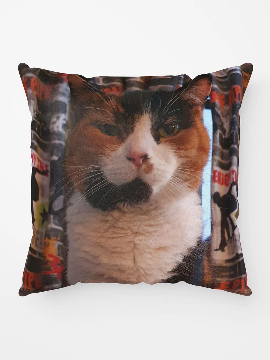 Rosie Staring Contest Pillow product image (4)