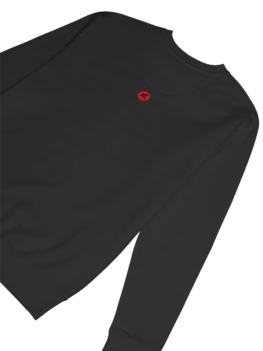 Mysteries of Mythology Hoodie - Distorted Logo Sweat product image (8)