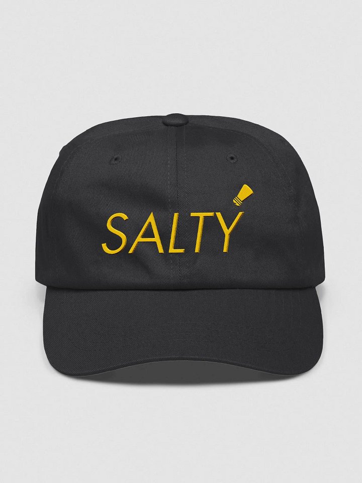 Embroidered Salty Dad Hat product image (1)