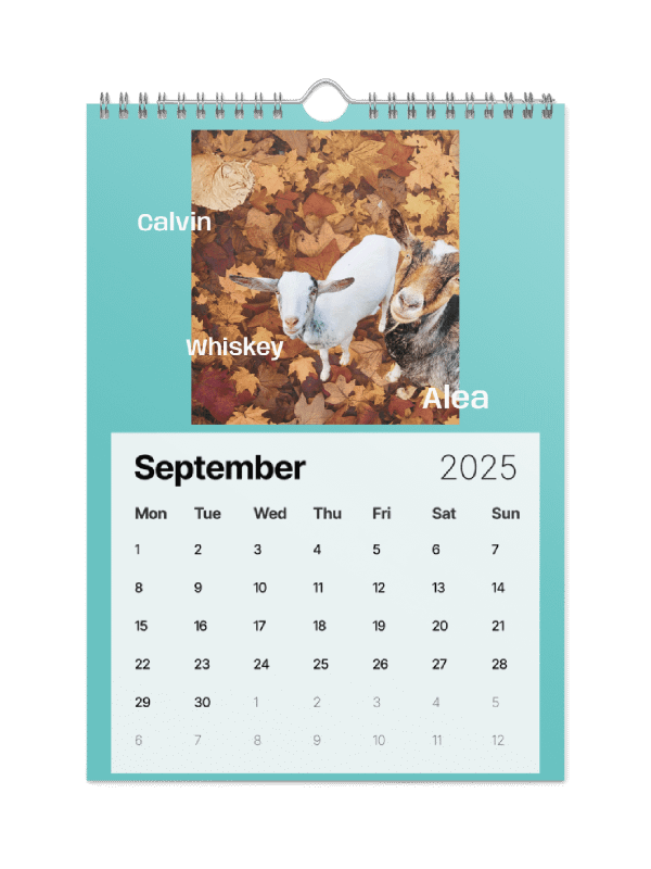 BrowncoatGoat Barn's Goats of 2025 product image (8)