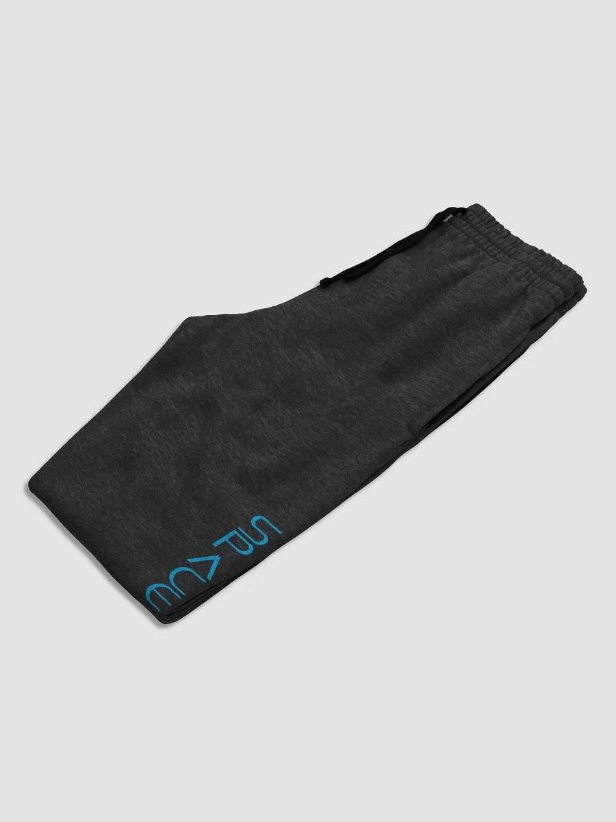 YOU ARE SPACE EXPERT - Jerzees Unisex Joggers product image (4)
