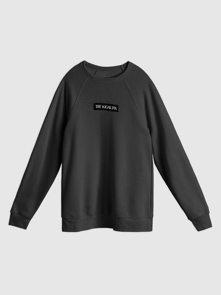 Unisex Sponge Fleece Raglan Sweatshirt product image (3)