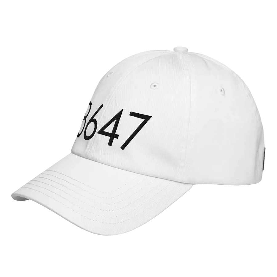 8647 Under Armour hat - B product image (3)