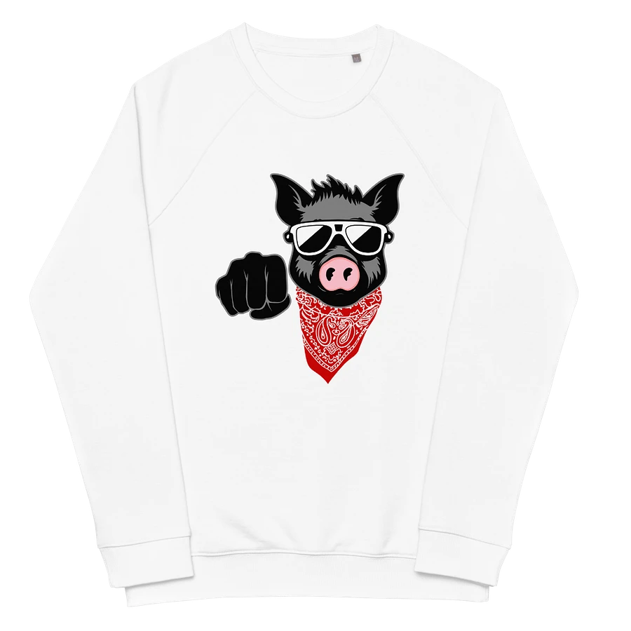 Kinky Fist Pig · organic raglan sweatshirt product image (2)