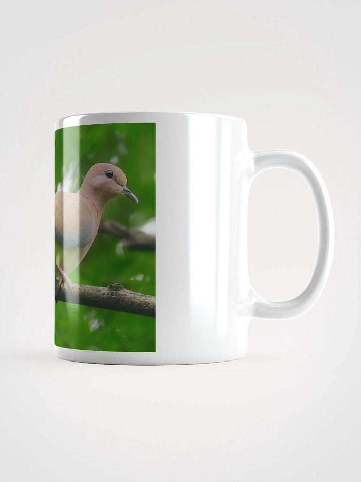 IUCAA Birds MUG product image (1)