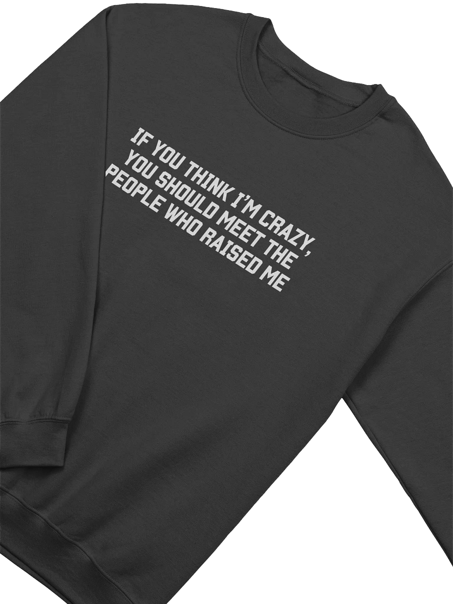 If you Think I'm Crazy You Should See The People Who Raised Me Sweatshirt - Dark Color product image (2)