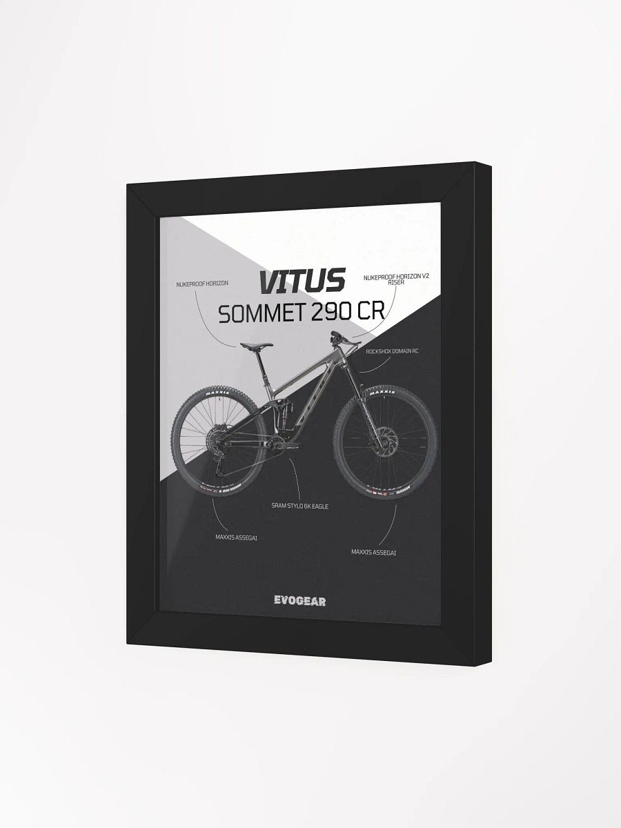 Vitus Sommet 290 CR Frame product image (12)