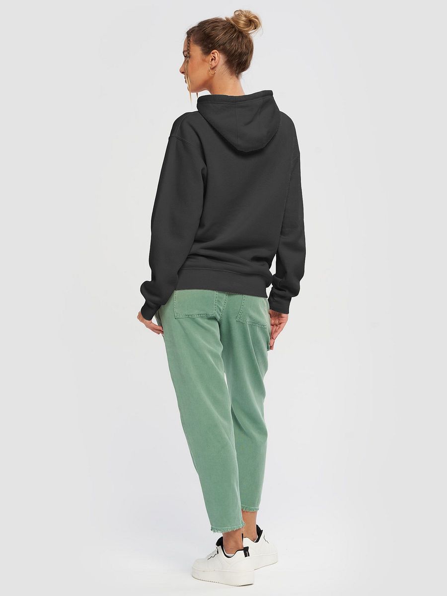 "Pickleball Power" Classic Hoodie product image (39)