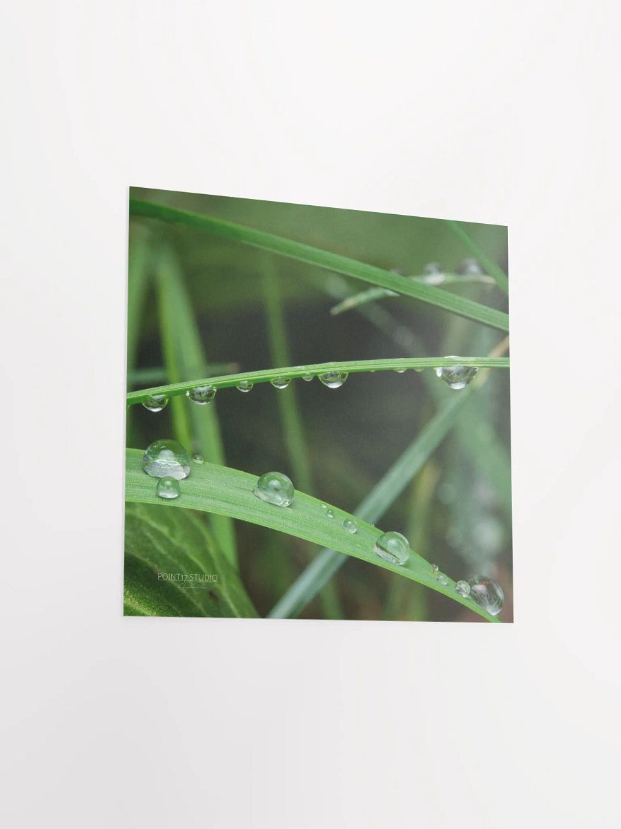 Dew Gems #9 - Print product image (8)