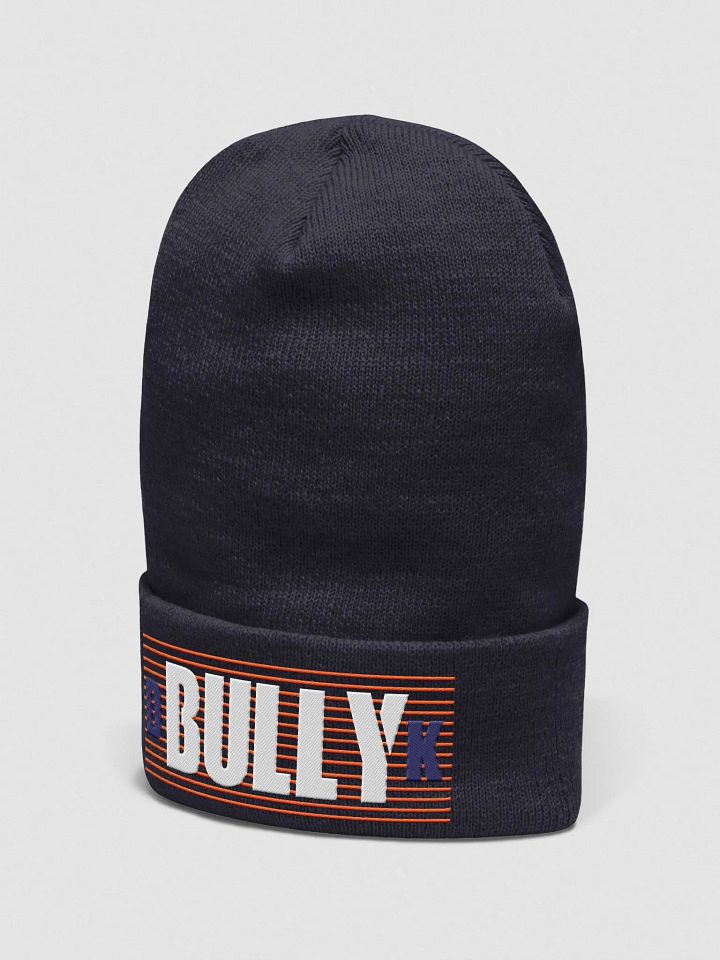 WINTER DK BULLY HAT product image (2)