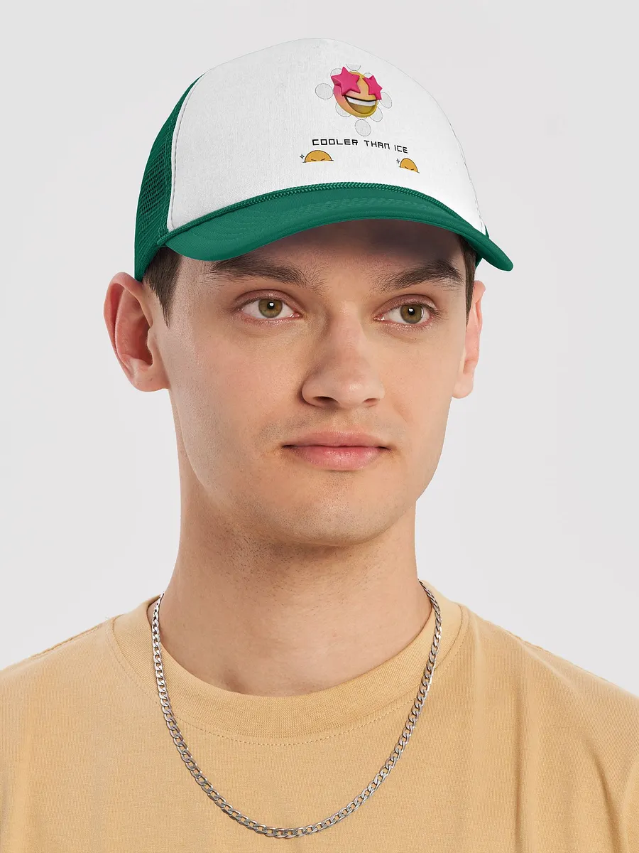 Cooler Than Ice product image (18)