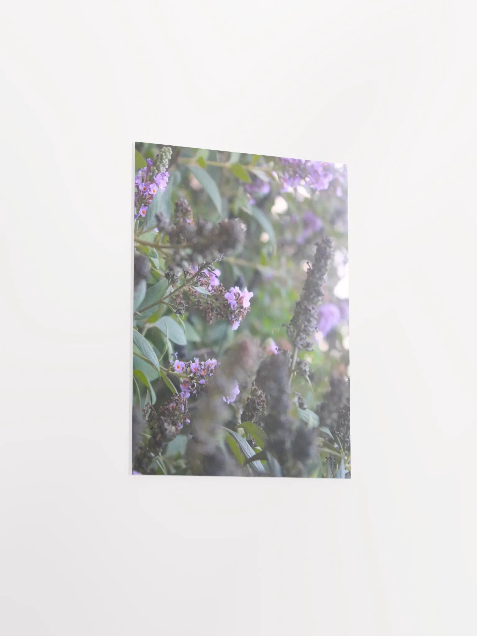 A Study in Flowers 6 product image (33)