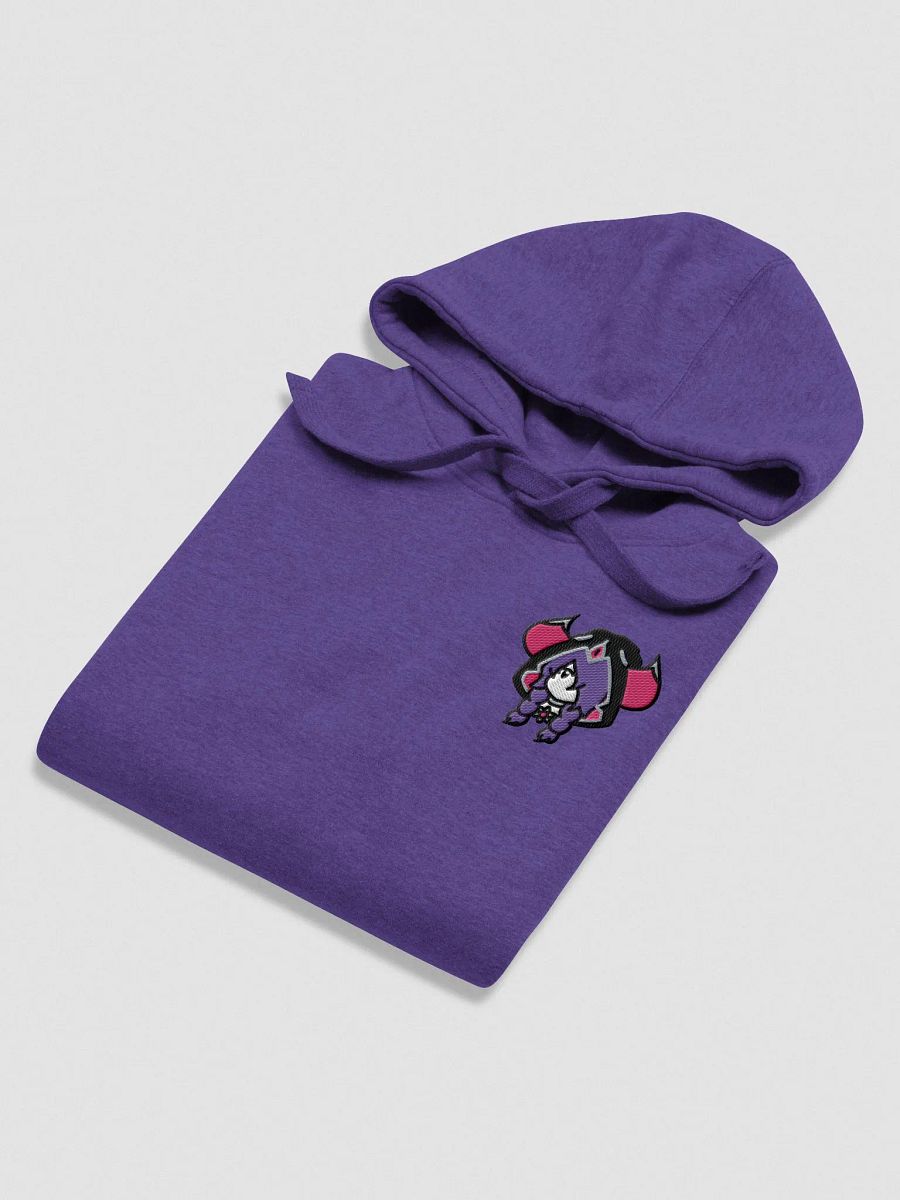 BiS Era Embroidered Hoodie (zzZ) +12 Alt. Colors product image (4)