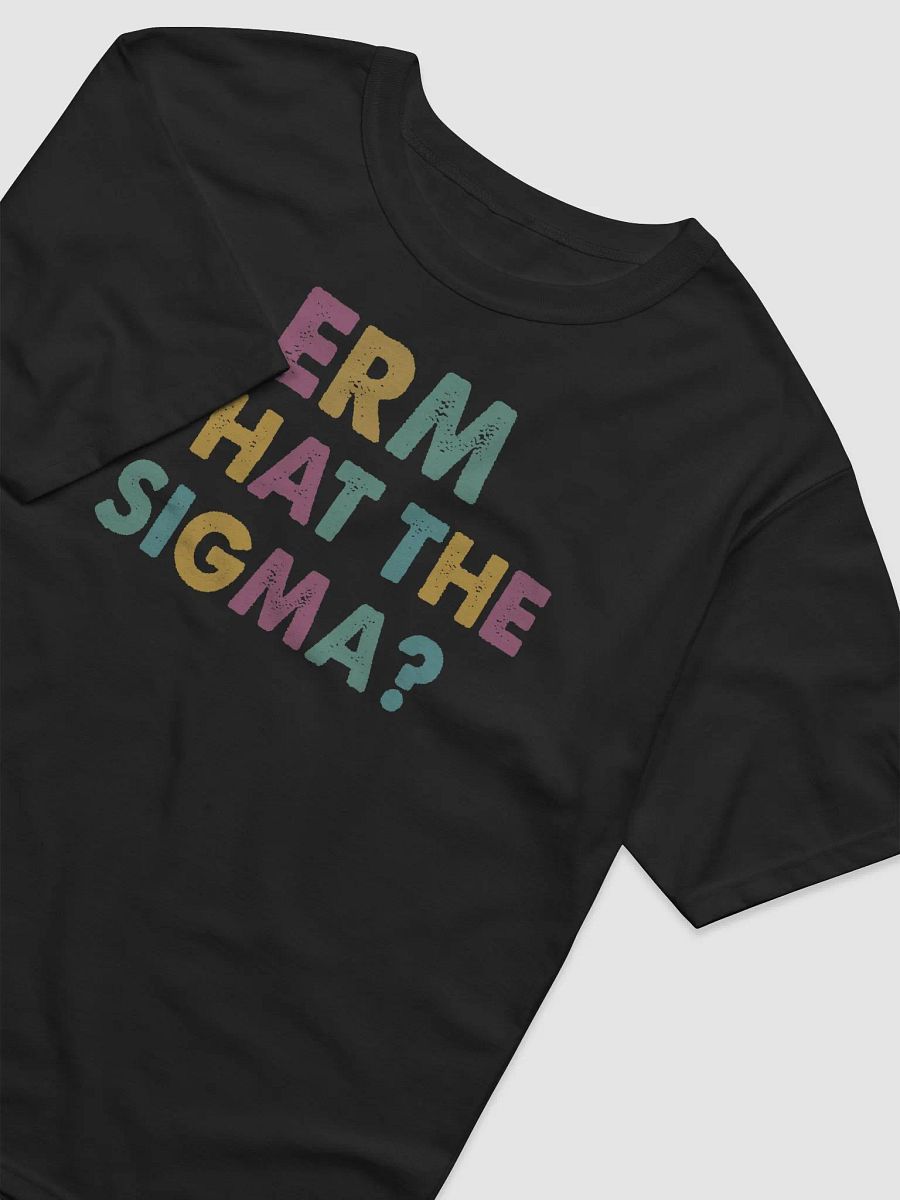 Erm, What the Sigma? - Funny T-Shirt product image (13)