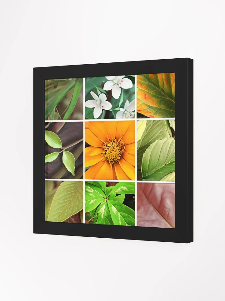 Framed High-Quality Matte Poster: Vibrancy in Bloom product image (10)