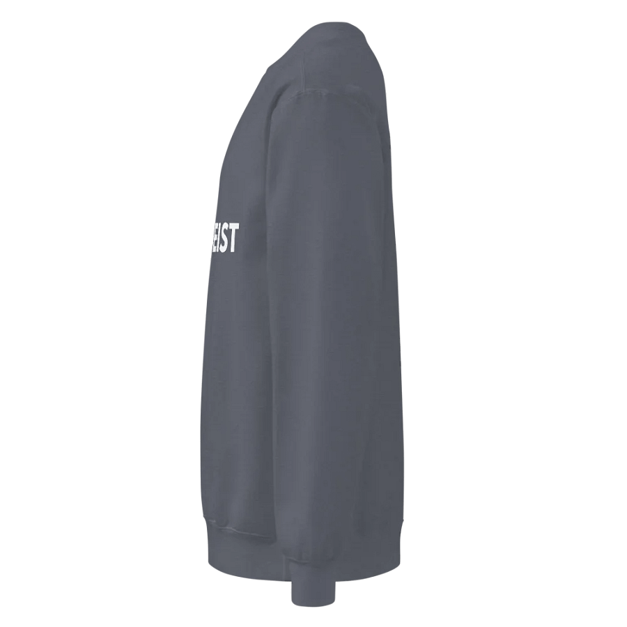 Logo Sweatshirt product image (3)