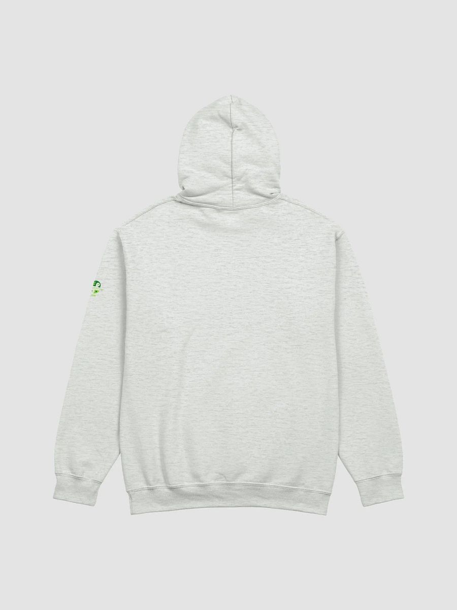 Basking Shark - Krillin' Time? Funny Shark Hoodie product image (33)