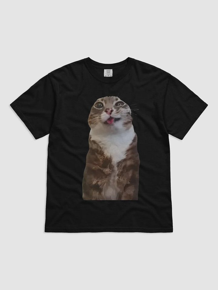 Rigby Cat Shirt product image (1)