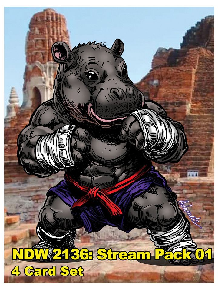 NDW 2136: Stream Pack 01 - Game Cards product image (1)