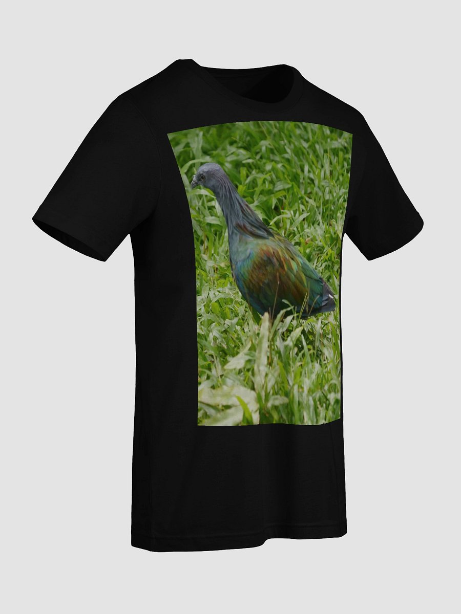 Iridescent Plumage T-Shirt product image (9)