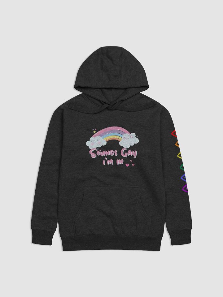 Sounds Gay Hoodie product image (1)