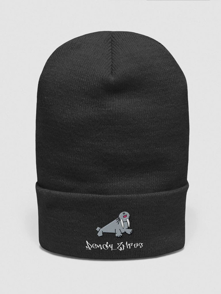 Pondy_WLRUS embroidered cuffed beanie product image (7)