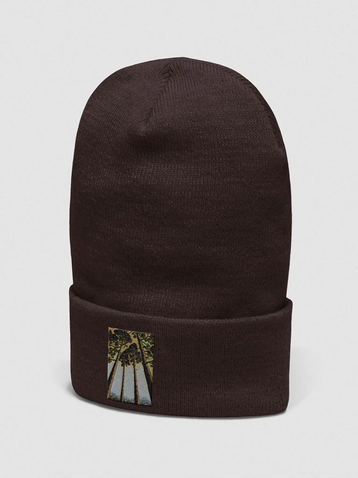 Skyward Bound Beanie product image (14)