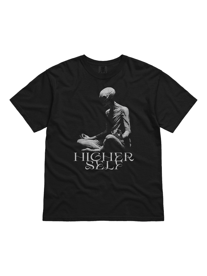 HIGHER SELF, Meditating Alien Extraterrestrial, UFO, UAP, Meditation, spiritual soul T-Shirt product image (1)