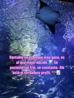 Ser rentable… #trading #criptomonedas #fyp #aprende #motivacion #btc 