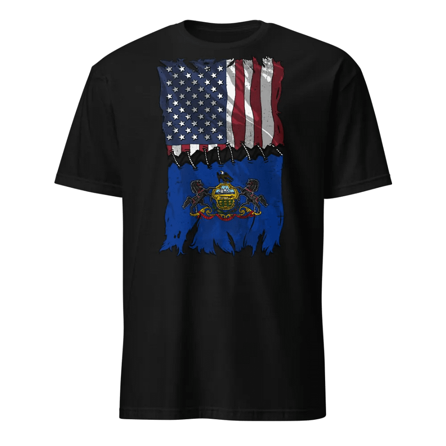 Pennsylvania Stitch Flag USA product image (1)