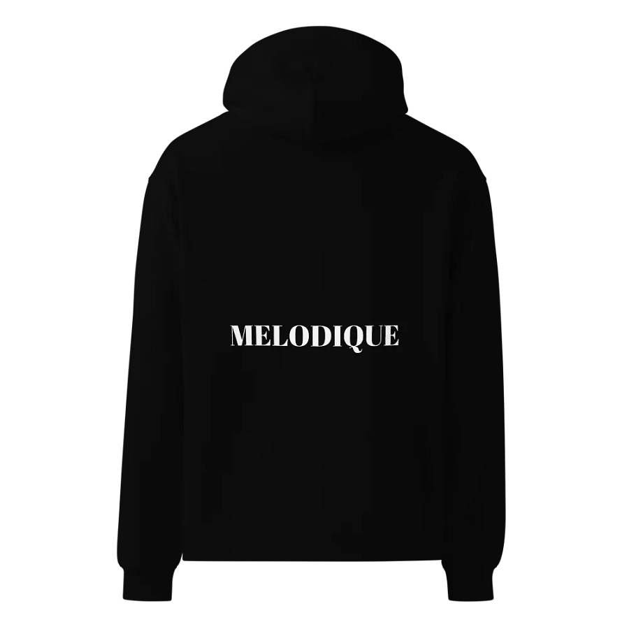 Human Being Melodique Brand Graphic Hoodie product image (4)