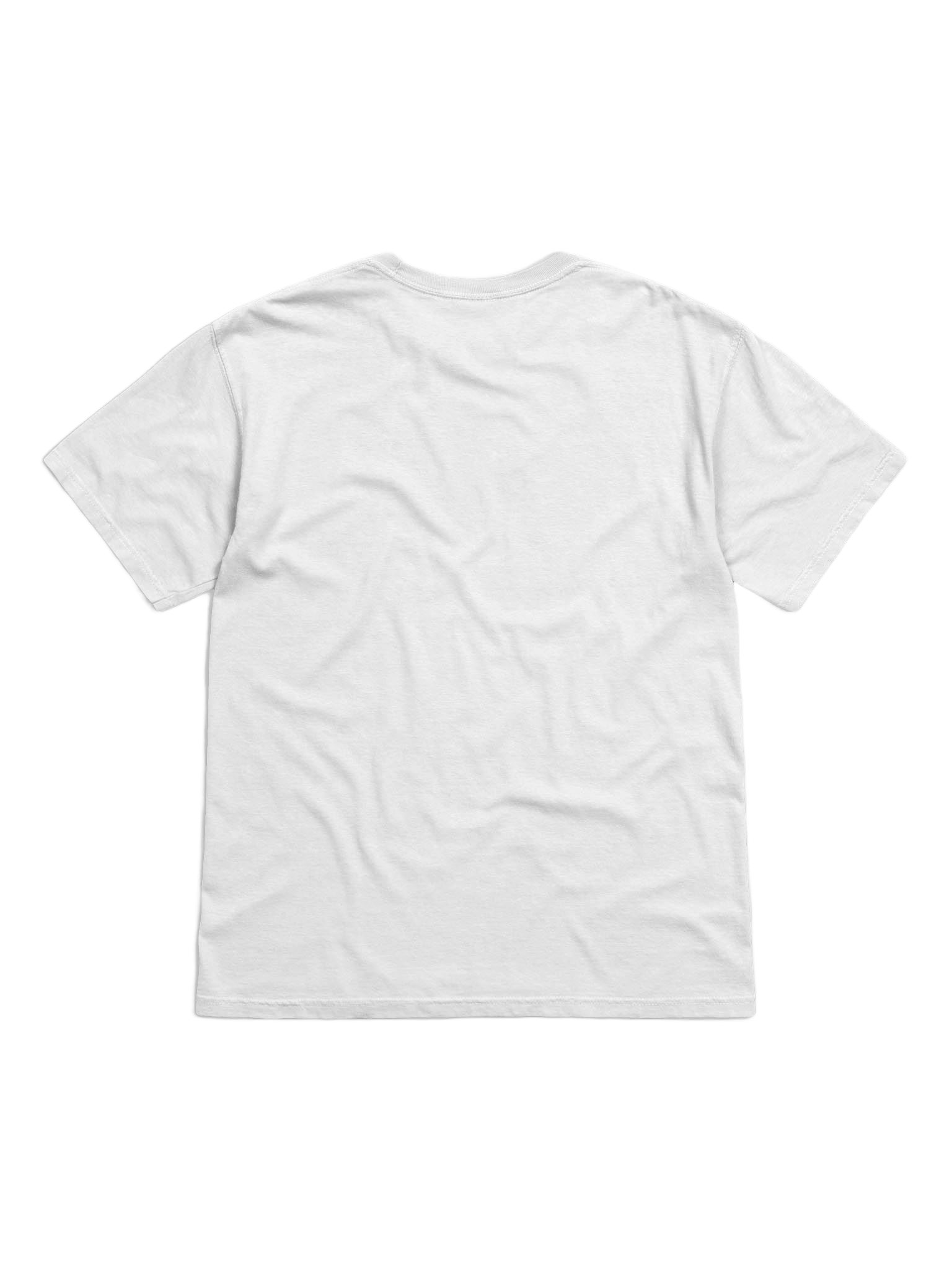 Glory To Bonesdale Tee product image (2)