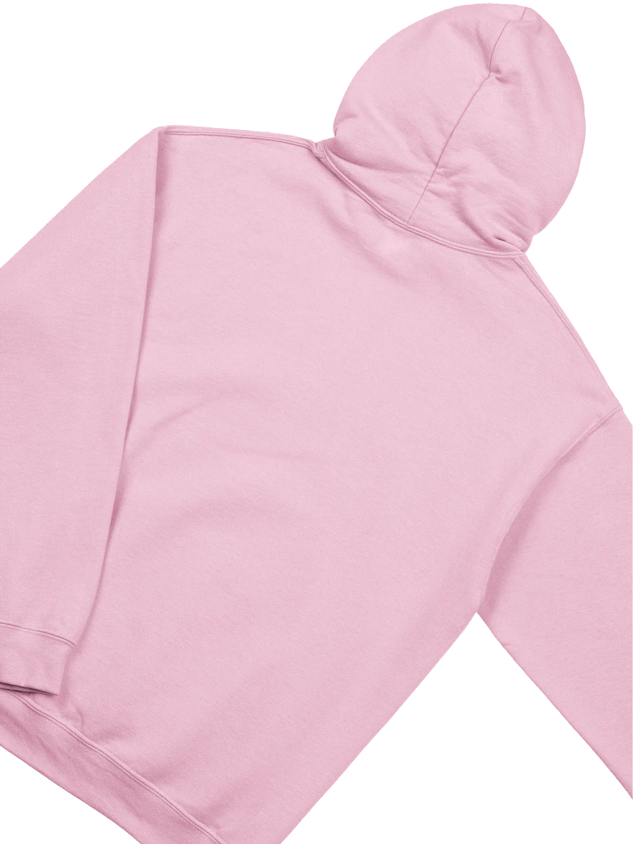 New Logo Pink Hoodie product image (4)