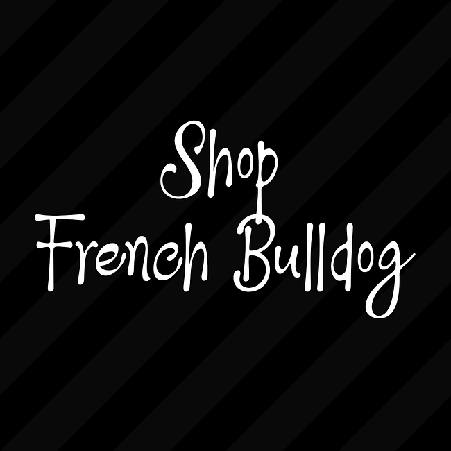 FRENCH BULLDOG DOG