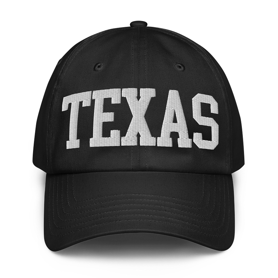 Texas State Cap by Under Armour product image (1)