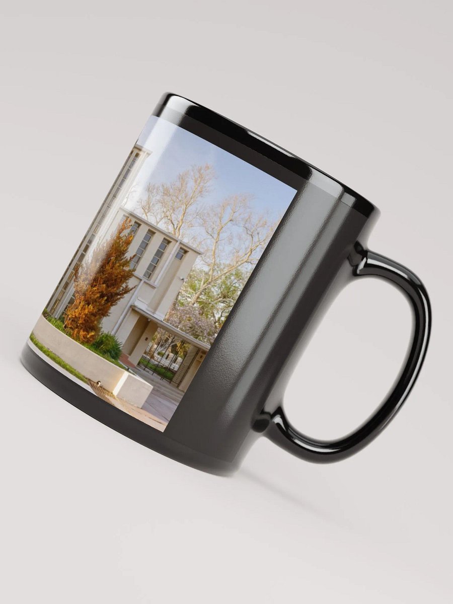 RICHARD LLOYD JONES HOUSE product image (4)