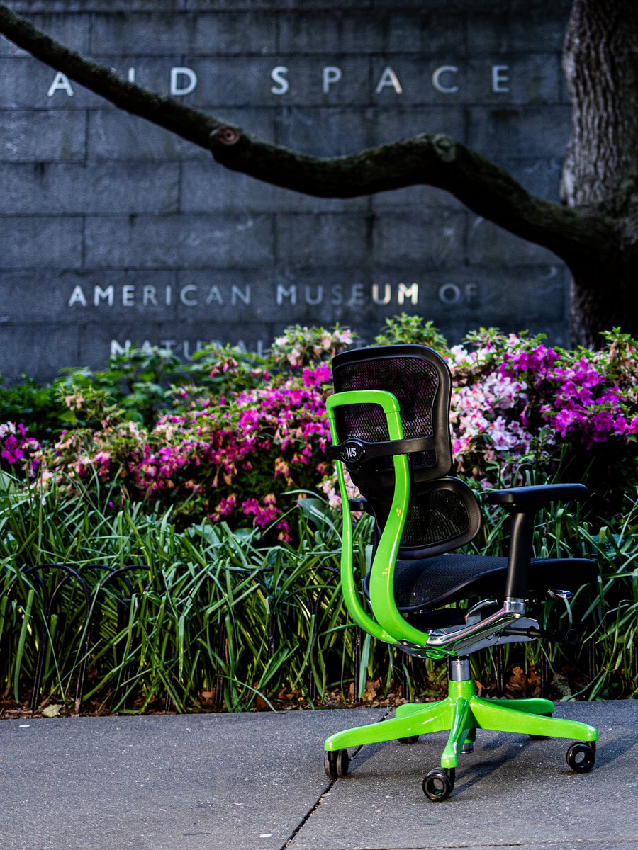 Lambo Mantis product image (6)